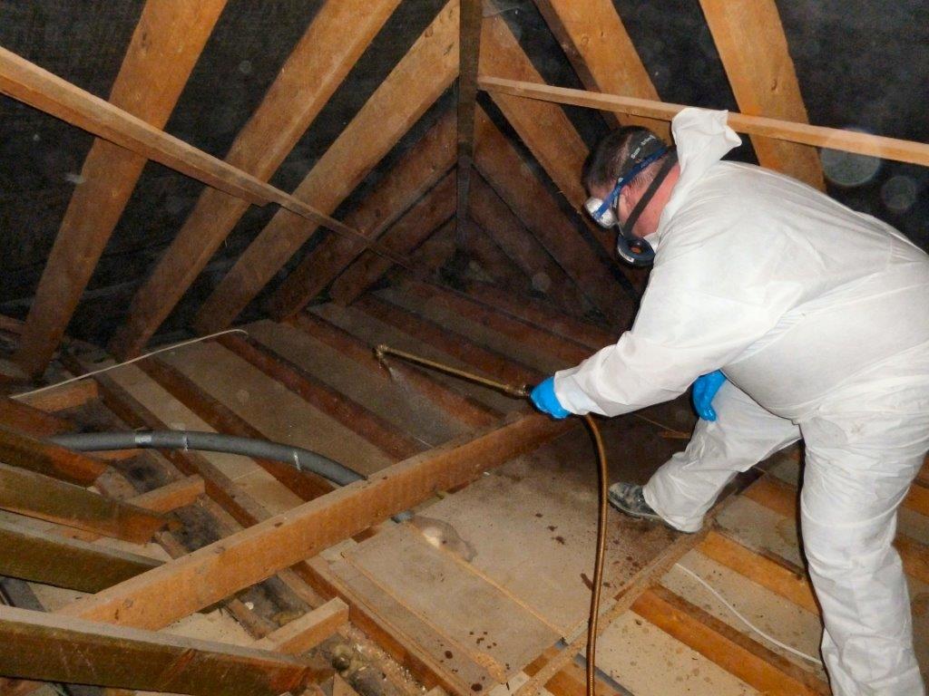 Woodworm Treatment: Effective Strategies for Your Wood